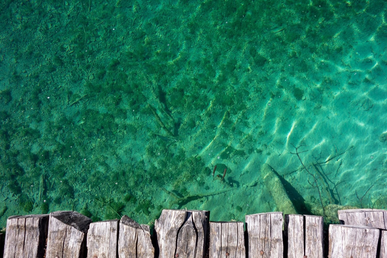 Kristallklares türkises Wasser an den Plitvicer Seen