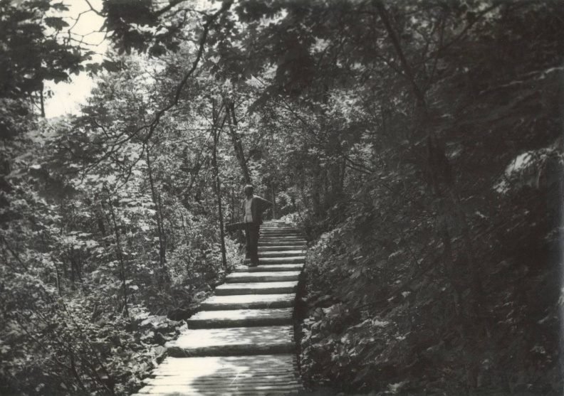 Stufensteg im Wald